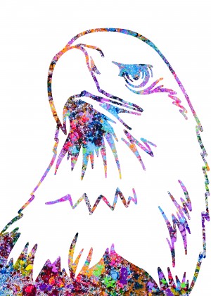 eagle head